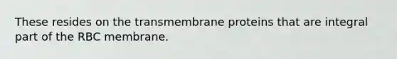 These resides on the transmembrane proteins that are integral part of the RBC membrane.