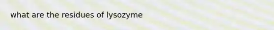 what are the residues of lysozyme