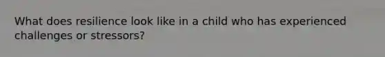 What does resilience look like in a child who has experienced challenges or stressors?