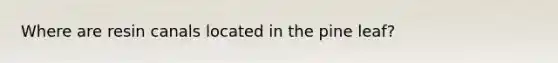 Where are resin canals located in the pine leaf?