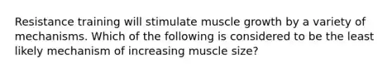 Resistance training will stimulate muscle growth by a variety of mechanisms. Which of the following is considered to be the least likely mechanism of increasing muscle size?