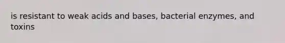 is resistant to weak acids and bases, bacterial enzymes, and toxins