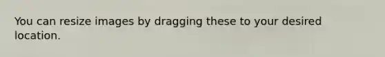 You can resize images by dragging these to your desired location.