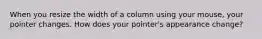 When you resize the width of a column using your mouse, your pointer changes. How does your pointer's appearance change?