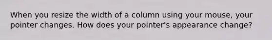 When you resize the width of a column using your mouse, your pointer changes. How does your pointer's appearance change?