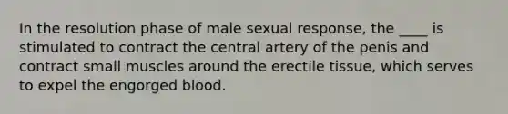 In the resolution phase of male sexual response, the ____ is stimulated to contract the central artery of the penis and contract small muscles around the erectile tissue, which serves to expel the engorged blood.