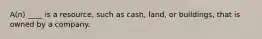 A(n) ____ is a resource, such as cash, land, or buildings, that is owned by a company.