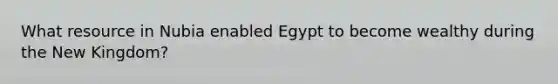 What resource in Nubia enabled Egypt to become wealthy during the New Kingdom?