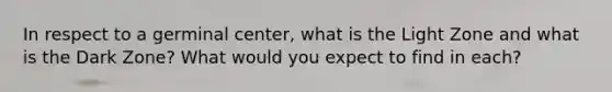 In respect to a germinal center, what is the Light Zone and what is the Dark Zone? What would you expect to find in each?