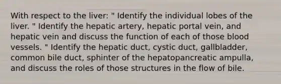 With respect to the liver: " Identify the individual lobes of the liver. " Identify the hepatic artery, hepatic portal vein, and hepatic vein and discuss the function of each of those blood vessels. " Identify the hepatic duct, cystic duct, gallbladder, common bile duct, sphinter of the hepatopancreatic ampulla, and discuss the roles of those structures in the flow of bile.