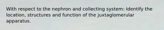 With respect to the nephron and collecting system: Identify the location, structures and function of the juxtaglomerular apparatus.