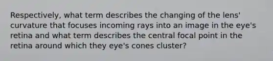 Respectively, what term describes the changing of the lens' curvature that focuses incoming rays into an image in the eye's retina and what term describes the central focal point in the retina around which they eye's cones cluster?