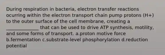 During respiration in bacteria, <a href='https://www.questionai.com/knowledge/kzP6QOcY63-electron-transfer' class='anchor-knowledge'>electron transfer</a> reactions ocurring within <a href='https://www.questionai.com/knowledge/k57oGBr0HP-the-electron-transport-chain' class='anchor-knowledge'>the electron transport chain</a> pump protons (H+) to the outer surface of the cell membrane, creating a ______________ that can be used to drive <a href='https://www.questionai.com/knowledge/kx3XpCJrFz-atp-synthesis' class='anchor-knowledge'>atp synthesis</a>, motility, and some forms of transport. a.proton motive force b.fermentation c.substrate-level phosphorylation d.reduction potential