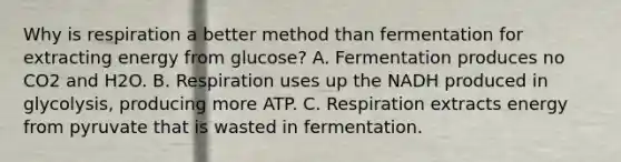 Why is respiration a better method than fermentation for extracting energy from glucose? A. Fermentation produces no CO2 and H2O. B. Respiration uses up the NADH produced in glycolysis, producing more ATP. C. Respiration extracts energy from pyruvate that is wasted in fermentation.