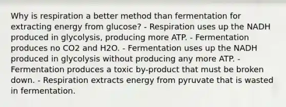 Why is respiration a better method than fermentation for extracting energy from glucose? - Respiration uses up the NADH produced in glycolysis, producing more ATP. - Fermentation produces no CO2 and H2O. - Fermentation uses up the NADH produced in glycolysis without producing any more ATP. - Fermentation produces a toxic by-product that must be broken down. - Respiration extracts energy from pyruvate that is wasted in fermentation.