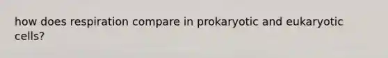 how does respiration compare in prokaryotic and eukaryotic cells?