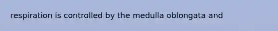 respiration is controlled by the medulla oblongata and