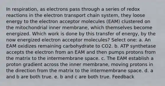 In respiration, as electrons pass through a series of redox reactions in the electron transport chain system, they loose energy to the electron acceptor molecules (EAM) clustered on the mitochondrial inner membrane, which themselves become energized. Which work is done by this transfer of energy, by the now energized electron acceptor molecules? Select one: a. An EAM oxidizes remaining carbohydrate to CO2. b. ATP synthetase accepts the electron from an EAM and then pumps protons from the matrix to the intermembrane space. c. The EAM establish a proton gradient across the inner membrane, moving protons in the direction from the matrix to the intermembrane space. d. a and b are both true. e. b and c are both true. Feedback