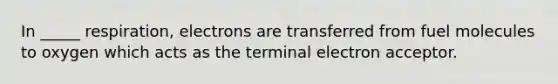 In _____ respiration, electrons are transferred from fuel molecules to oxygen which acts as the terminal electron acceptor.