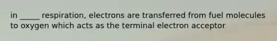 in _____ respiration, electrons are transferred from fuel molecules to oxygen which acts as the terminal electron acceptor