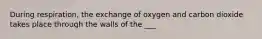 During respiration, the exchange of oxygen and carbon dioxide takes place through the walls of the ___