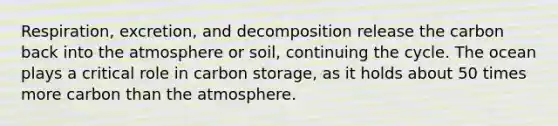 Respiration, excretion, and decomposition release the carbon back into the atmosphere or soil, continuing the cycle. The ocean plays a critical role in carbon storage, as it holds about 50 times more carbon than the atmosphere.