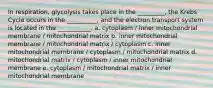 In respiration, glycolysis takes place in the _________, the Krebs Cycle occurs in the __________, and the electron transport system is located in the ___________. a. cytoplasm / inner mitochondrial membrane / mitochondrial matrix b. inner mitochondrial membrane / mitochondrial matrix / cytoplasm c. inner mitochondrial membrane / cytoplasm / mitochondrial matrix d. mitochondrial matrix / cytoplasm / inner mitochondrial membrane e. cytoplasm / mitochondrial matrix / inner mitochondrial membrane