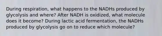 During respiration, what happens to the NADHs produced by glycolysis and where? After NADH is oxidized, what molecule does it become? During lactic acid fermentation, the NADHs produced by glycolysis go on to reduce which molecule?