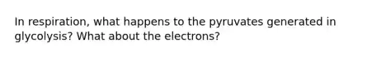 In respiration, what happens to the pyruvates generated in glycolysis? What about the electrons?