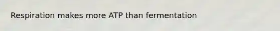 Respiration makes more ATP than fermentation