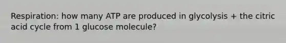 Respiration: how many ATP are produced in glycolysis + the citric acid cycle from 1 glucose molecule?