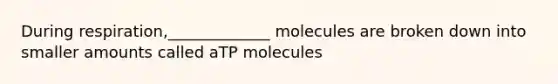 During respiration,_____________ molecules are broken down into smaller amounts called aTP molecules