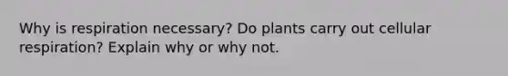 Why is respiration necessary? Do plants carry out <a href='https://www.questionai.com/knowledge/k1IqNYBAJw-cellular-respiration' class='anchor-knowledge'>cellular respiration</a>? Explain why or why not.