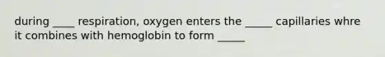 during ____ respiration, oxygen enters the _____ capillaries whre it combines with hemoglobin to form _____