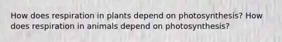 How does respiration in plants depend on photosynthesis? How does respiration in animals depend on photosynthesis?