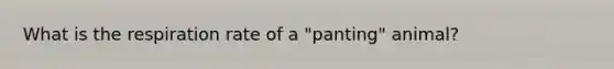 What is the respiration rate of a "panting" animal?