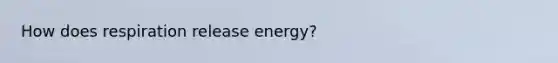 How does respiration release energy?