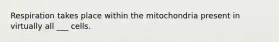 Respiration takes place within the mitochondria present in virtually all ___ cells.