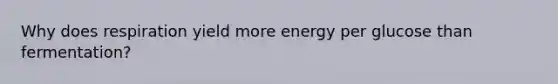 Why does respiration yield more energy per glucose than fermentation?