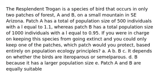 The Resplendent Trogan is a species of bird that occurs in only two patches of forest, A and B, on a small mountain in SE Arizona. Patch A has a total of population size of 500 individuals with a l equal to 1.1, whereas patch B has a total population size of 1000 individuals with a l equal to 0.95. If you were in charge on keeping this species from going extinct and you could only keep one of the patches, which patch would you protect, based entirely on population ecology principles? a. A b. B c. It depends on whether the birds are iteroparous or semelparous. d. B because it has a larger population size e. Patch A and B are equally suitable