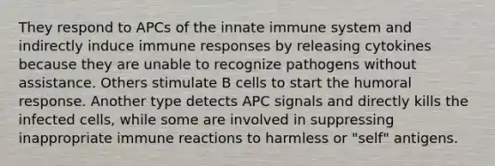 They respond to APCs of the innate immune system and indirectly induce immune responses by releasing cytokines because they are unable to recognize pathogens without assistance. Others stimulate B cells to start the humoral response. Another type detects APC signals and directly kills the infected cells, while some are involved in suppressing inappropriate immune reactions to harmless or "self" antigens.