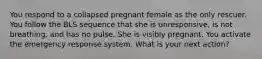 You respond to a collapsed pregnant female as the only rescuer. You follow the BLS sequence that she is unresponsive, is not breathing, and has no pulse. She is visibly pregnant. You activate the emergency response system. What is your next action?