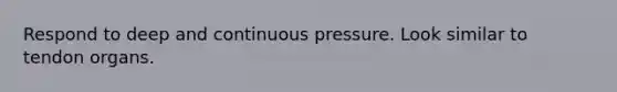 Respond to deep and continuous pressure. Look similar to tendon organs.