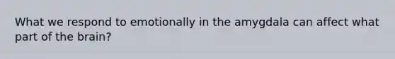 What we respond to emotionally in the amygdala can affect what part of the brain?