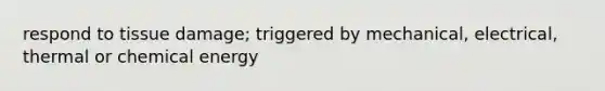 respond to tissue damage; triggered by mechanical, electrical, thermal or chemical energy