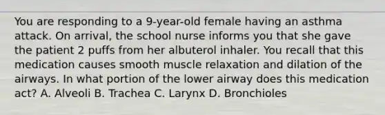 You are responding to a 9-year-old female having an asthma attack. On arrival, the school nurse informs you that she gave the patient 2 puffs from her albuterol inhaler. You recall that this medication causes smooth muscle relaxation and dilation of the airways. In what portion of the lower airway does this medication act? A. Alveoli B. Trachea C. Larynx D. Bronchioles