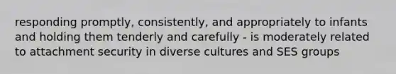 responding promptly, consistently, and appropriately to infants and holding them tenderly and carefully - is moderately related to attachment security in diverse cultures and SES groups