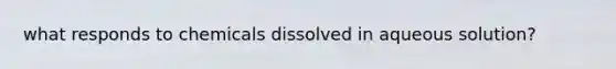 what responds to chemicals dissolved in aqueous solution?