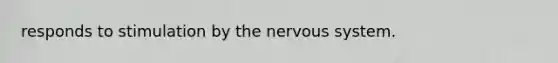 responds to stimulation by the nervous system.