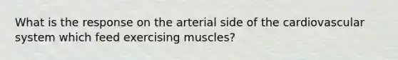 What is the response on the arterial side of the cardiovascular system which feed exercising muscles?